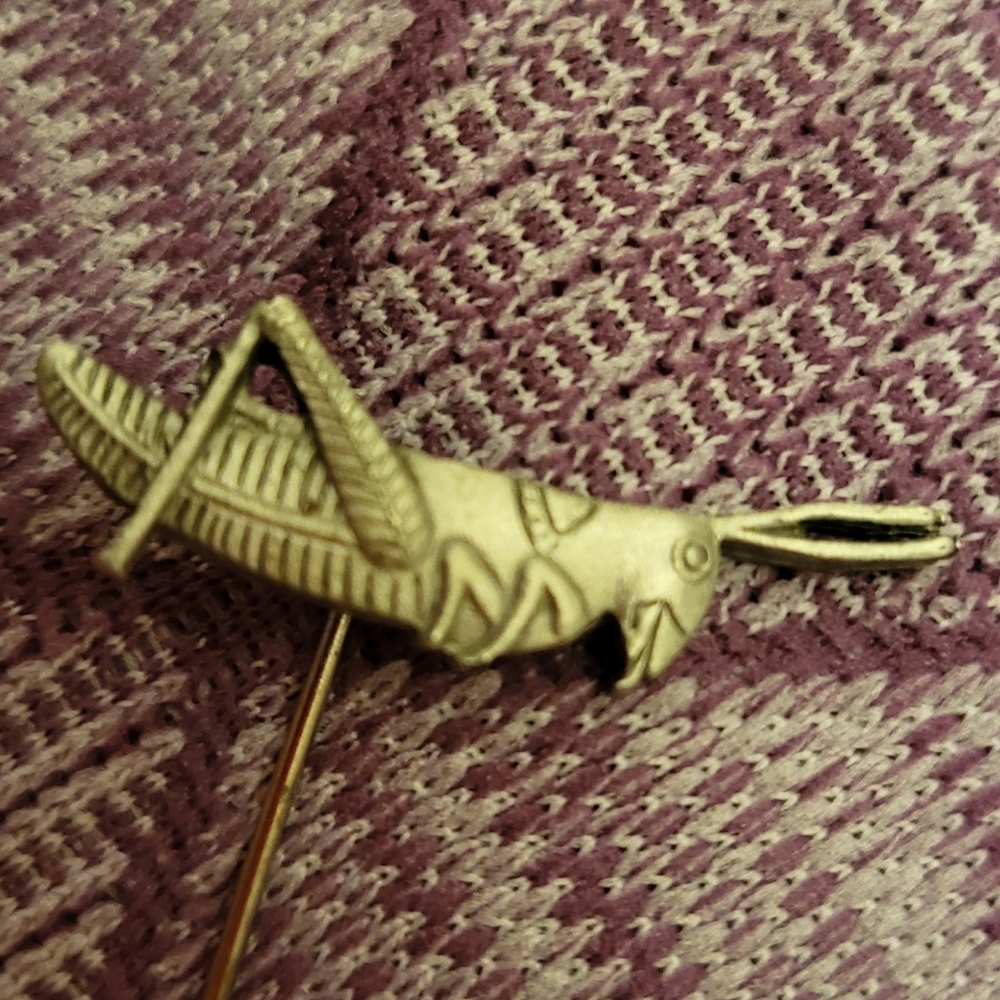 Grasshopper pin